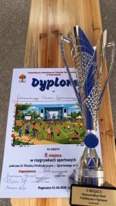 IMG_2446-Copy-169x300 Zawody sportowe w Pogroszynie