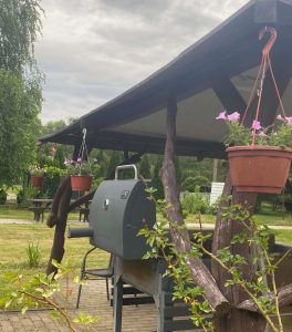 rXrGGi8-264x300 Wsparcie kwiatowe